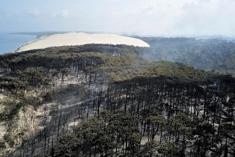 Fransada yanğınlar nəticəsində 47 min hektardan çox meşə sahəsi məhv olub