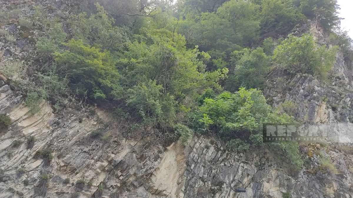 Zaqatalada itkin düşən yerli turistlər təxliyə olunub - YENİLƏNİB-3