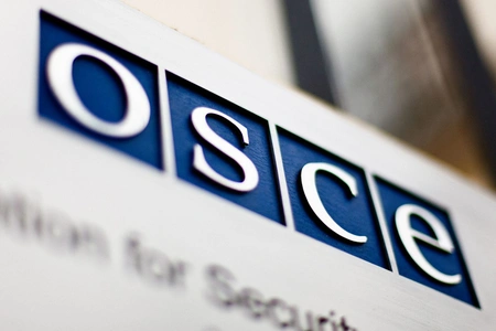 OSCE Friends of Georgia reaffirm support on war anniversary