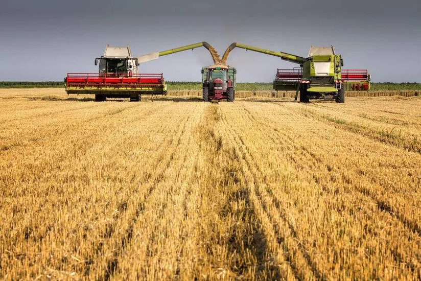Kənd Təsərrüfatı naziri: Bu il Naxçıvanda 102 984 ton taxıl istehsal edilib