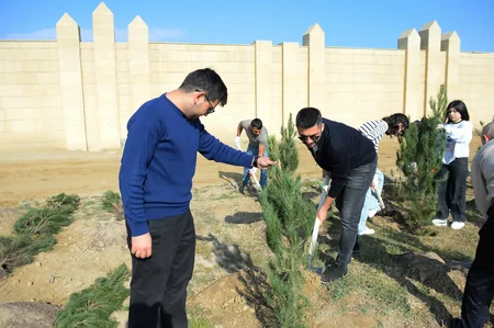 “AzInTelecom” Zəfər Günü münasibətilə ağacəkmə aksiyası keçirib