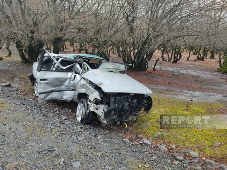 Qaxda minik avtomobili ağaca çırpılıb, iki qardaş xəsarət alıb