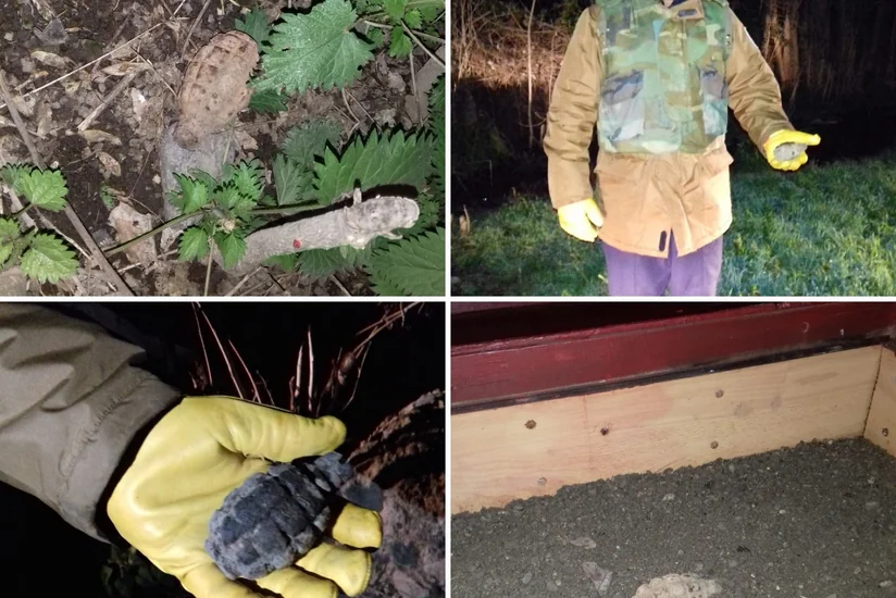 Tərtərdə əl qumbarası aşkar olunub - FOTO