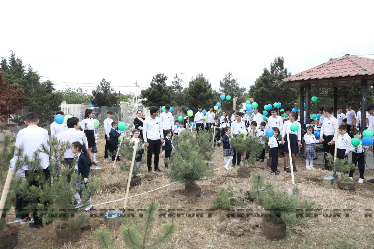 Baku hosts tree-planting campaign