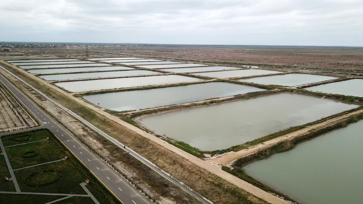 Ilham Aliyev, Mehriban Aliyeva view conditions created at Sturgeon Breeding Farm in Neftchala