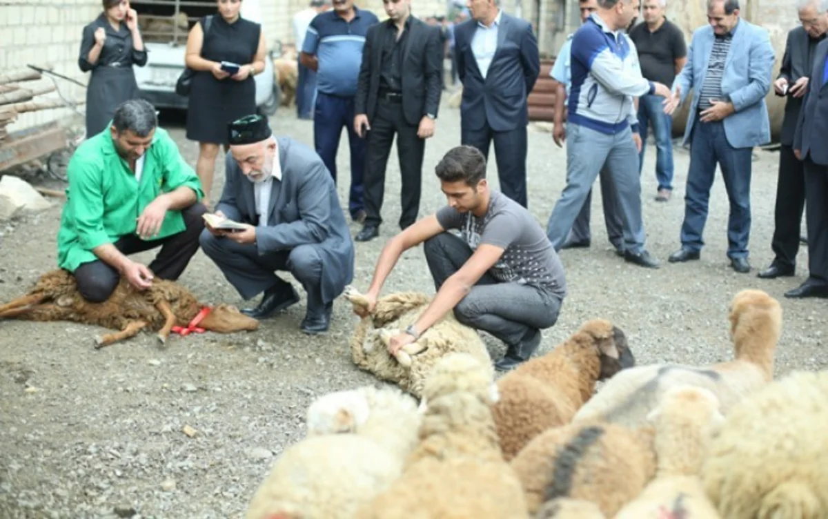 Sakinlərin yol kənarlarında heyvan kəsilməsinə münasibəti necədir? - QURBAN HAZIRLIQLARI - VİDEOSORĞU