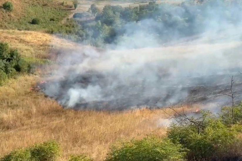 Xocavənddə yanğına səbəb olan şəxslər saxlanılıb