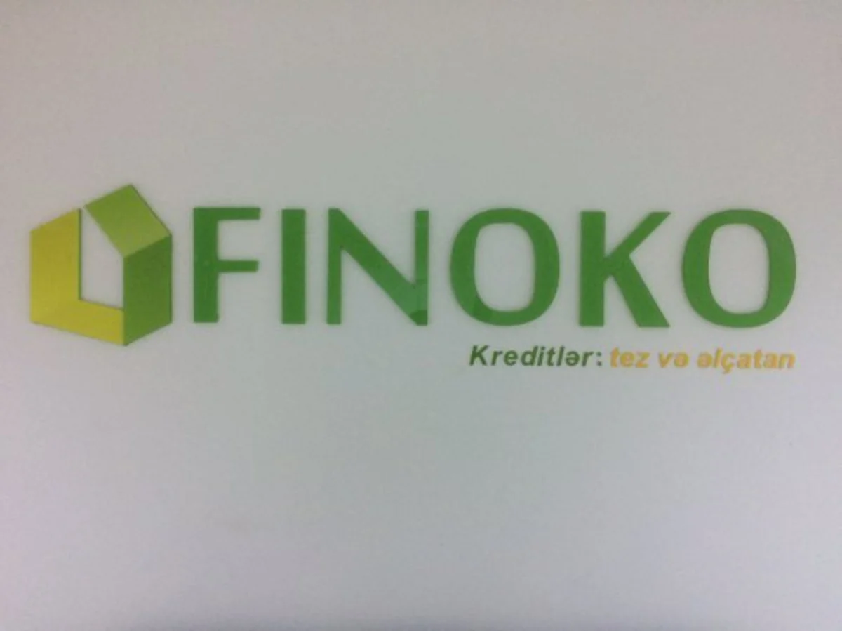 “Finoko”nun aktivləri 26% artıb