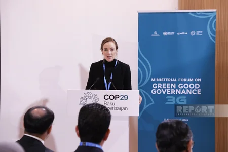 Ministerial forum on green governance launches at COP29 in Baku