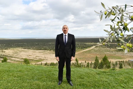 Prezident Zirədə zeytun emalı zavodunun açılışında iştirak edib - YENİLƏNİB