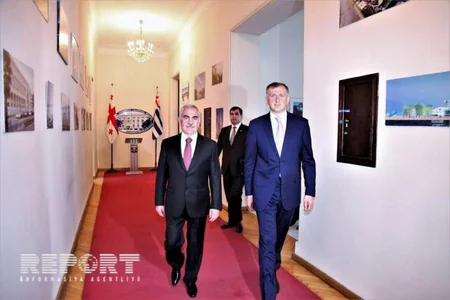 Naxçıvan və Acarıstan arasında əməkdaşlığın perspektivləri müzakirə olunub