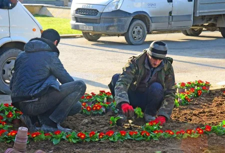 “Şəhidlər Xiyabanı”nda 20 Yanvar faciəsinin ildönümü ilə bağlı hazırlıq işləri aparılır