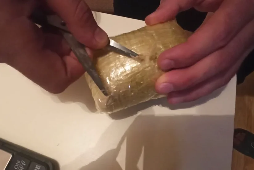 Lənkəranda patı satan qadın və daha 5 nəfər saxlanılıb