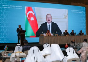 Prezident İlham Əliyev ASOSAI və ARABOSAI-nin birgə görüşünün iştirakçılarına müraciət edib