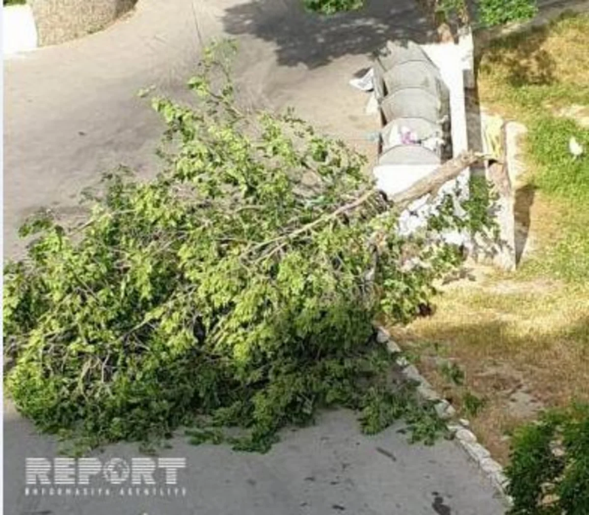Bakıda külək fəsadlar törədib - FOTO - VİDEO