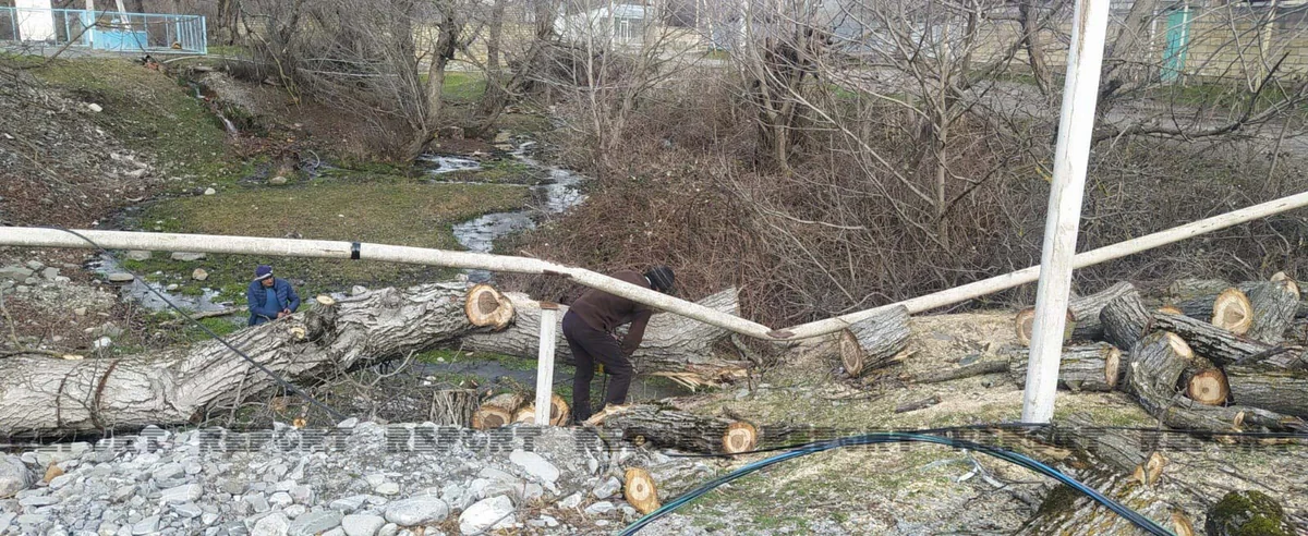Güclü külək Oğuzda 2 000-dən artıq sakini olan kəndi işıqsız və qazsız qoyub
