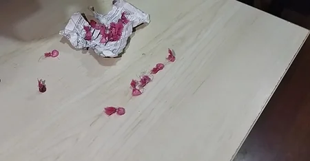 Gəncədə evlərdən 9 min manatlıq oğurluq edilib