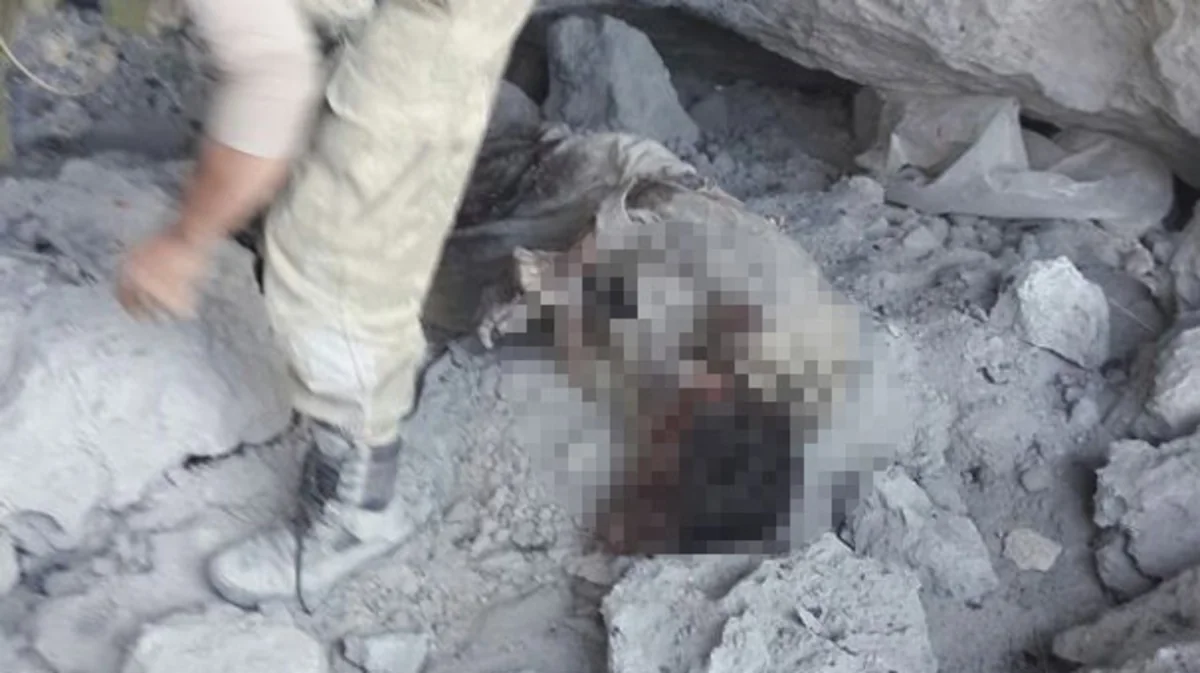 В Турции обезврежено 157 террористов