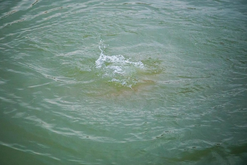 Doqquz gün əvvəl Kürdə batan yeniyetmə qızın meyiti tapılıb