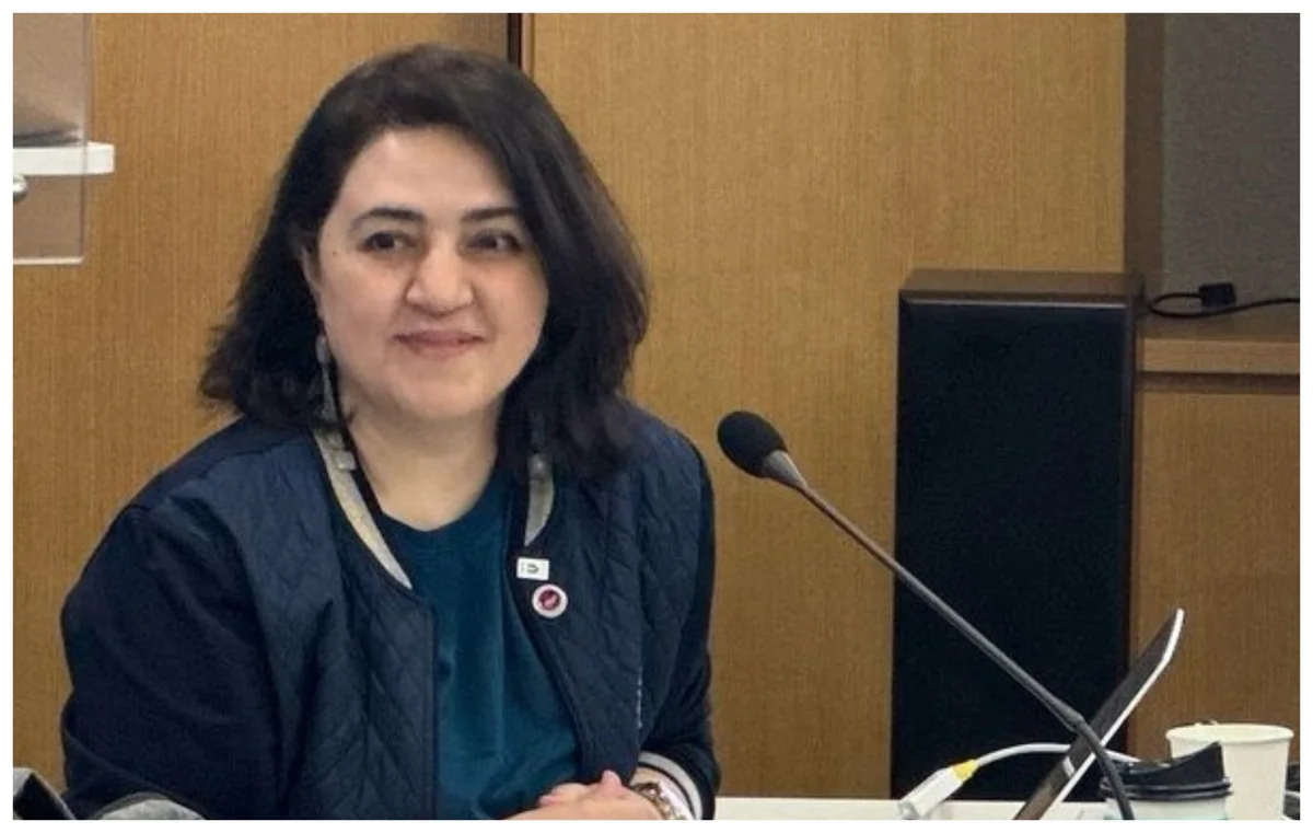 AzTU-nun Yüksək Təhsil İnstitutuna yeni direktor təyin olunub