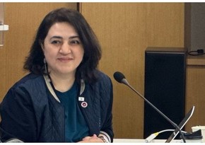 AzTU-nun Yüksək Təhsil İnstitutuna yeni direktor təyin olunub
