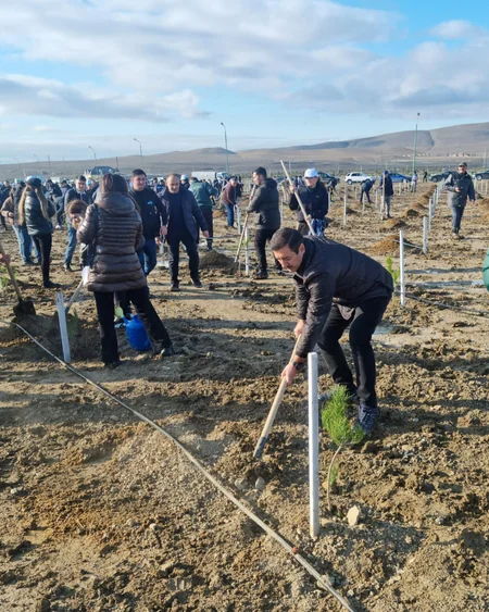 Tree-planting campaign held on 30th anniversary of New Azerbaijan Party