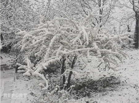В Губинском районе Азербайджана выпал снег - ФОТО - ВИДЕО