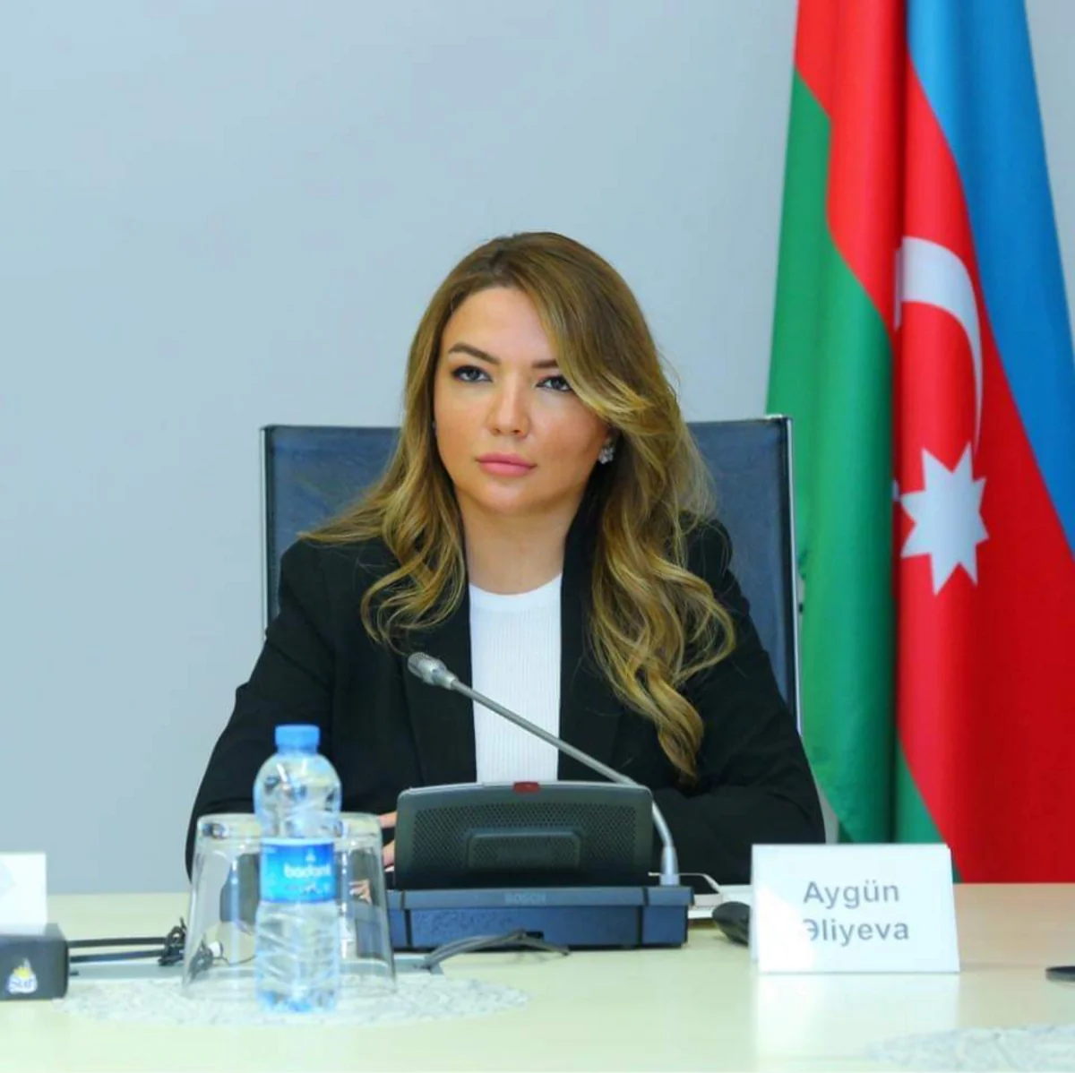 UN Human Rights Council to hold event on Western Azerbaijan