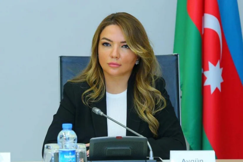 В Совете ООН по правам человека пройдет мероприятие на тему Западного Азербайджана