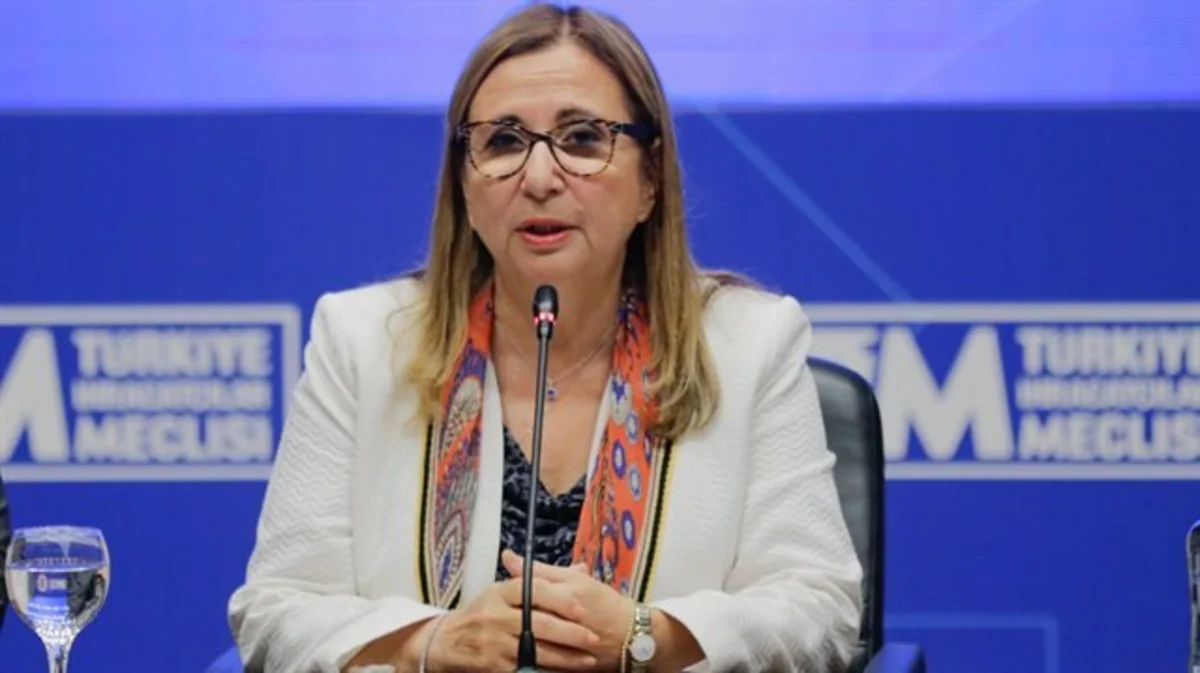 Turkey expects extension of Iran sanctions waiver