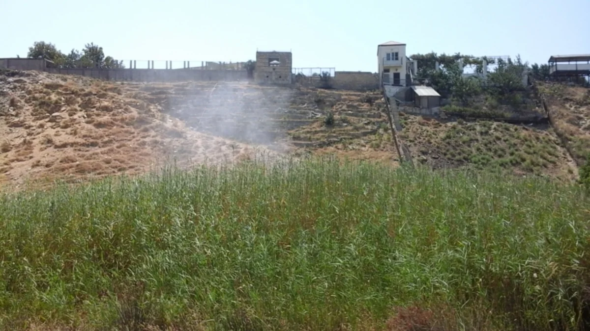 Azərbaycanda ​Xəzər sahilində 500 ha əraziyə Asiya çəyirtkələrinə qarşı dərman çilənib