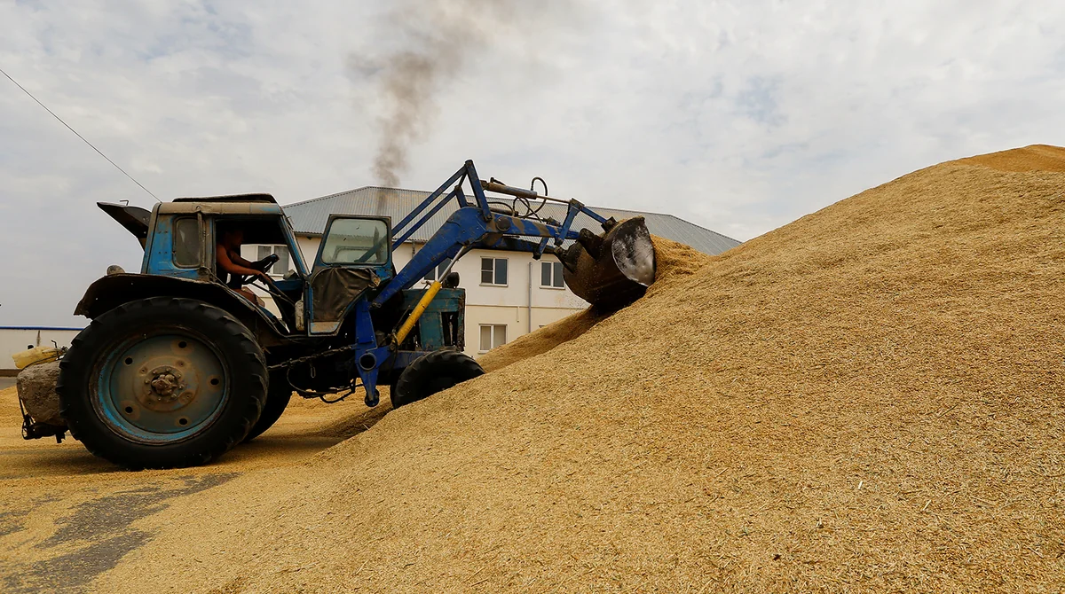Azerbaijan imports wheat from Penza region