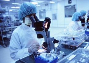 Chief Epidemiologist: No Indian strain detected in Georgia