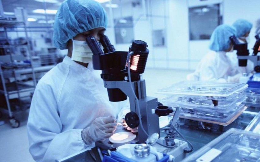 Baş epidemioloq: “Gürcüstanda “Hindistan ştammı” qeydə alınmayıb”