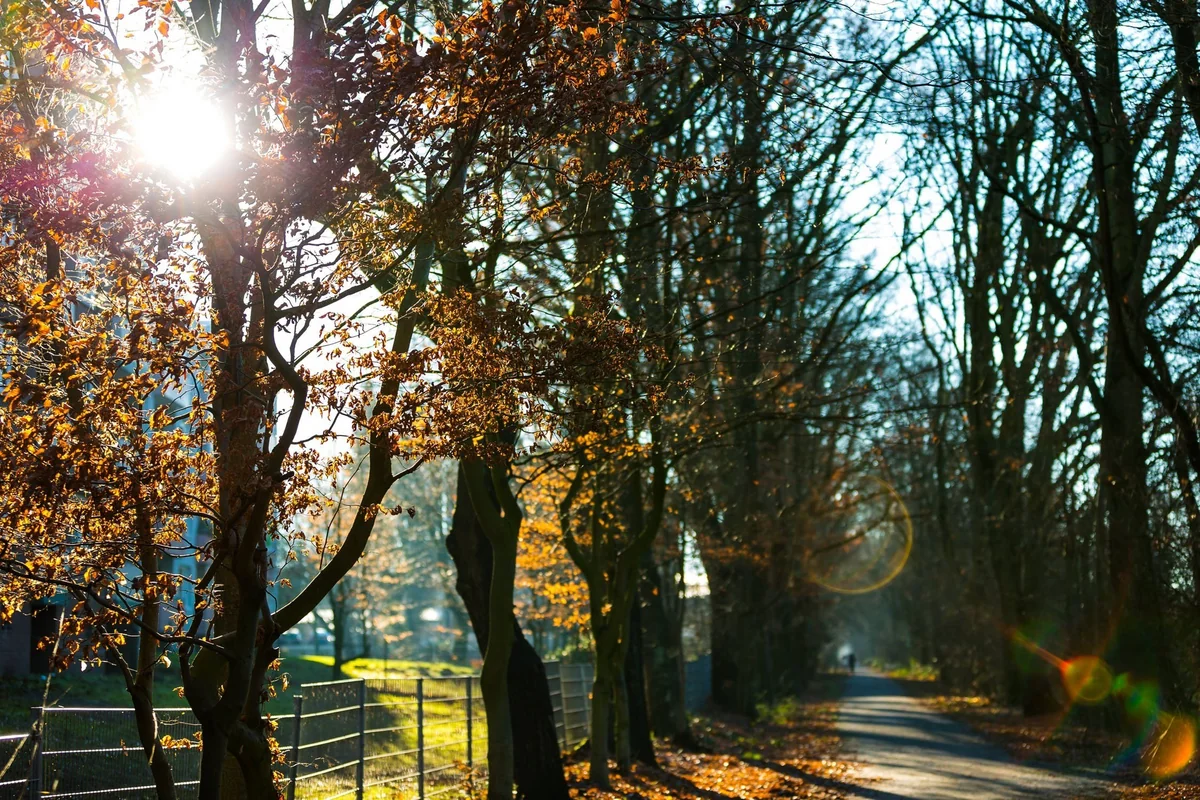 Sabaha olan hava proqnozu açıqlanıb