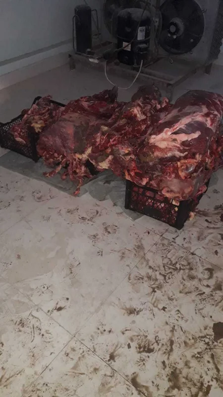 Bərdədə “Bala Tofiq” ləqəbli leş əti satan şəxs ifşa edilib