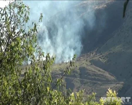 Erməni silahlıları Tovuzun sərhəd kəndində yanğın törədiblər, mina partlayışları olub - FOTO