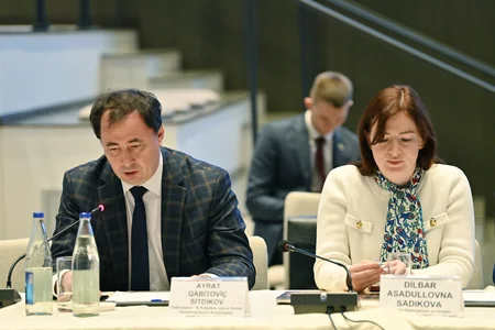 Azerbaijan, Tatarstan discuss developmental directions of economic partnership