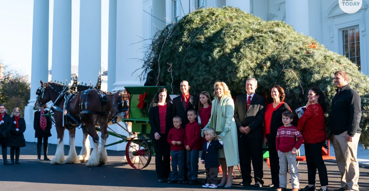 Milad yolkası Ağ Evə gətirilib