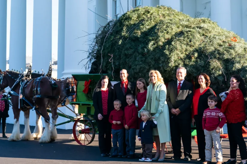 Milad yolkası Ağ Evə gətirilib