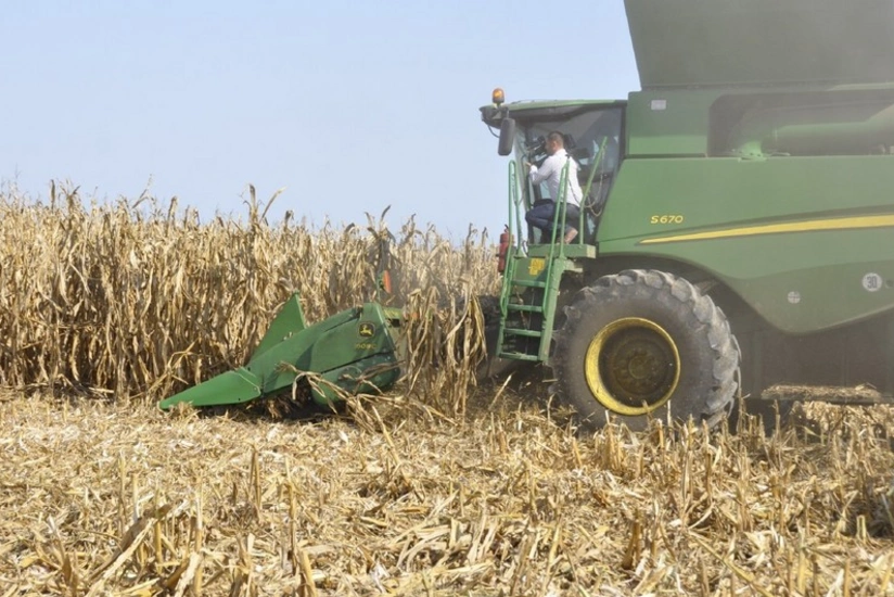 Azərbaycandakı taxıl sahələrinin 98 %-də biçin başa çatıb