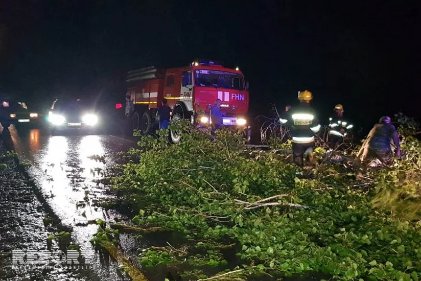 Göyçayda böyük qovaq ağacı magistral yola aşıb - FOTO