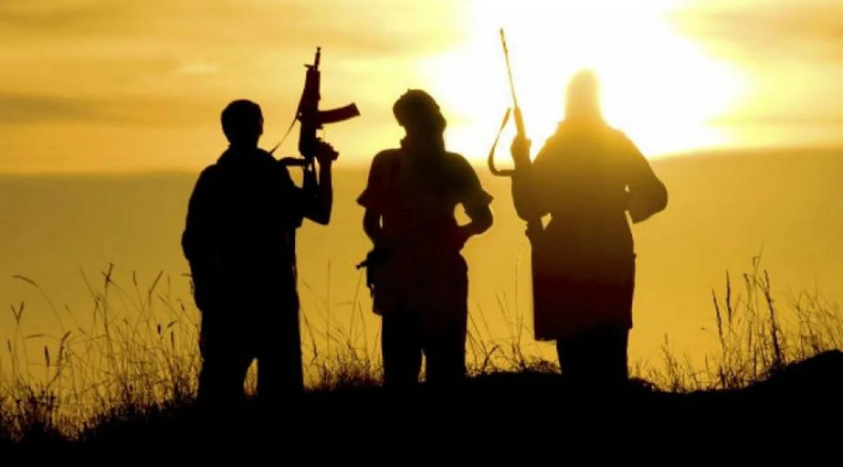 Xaricdə dini ekstremizm və terror fəaliyyəti ilə məşğul olan 58 nəfər Azərbaycan vətəndaşlığından məhrum edilib