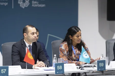 Baku hosts panel discussions on 'From Global Goals to Local Action' as part of COP29