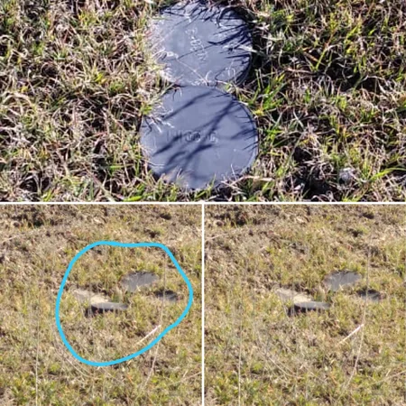 ANAMA: Ermənilər Füzulidə eyni yerdə üç və dörd mina basdırıblar