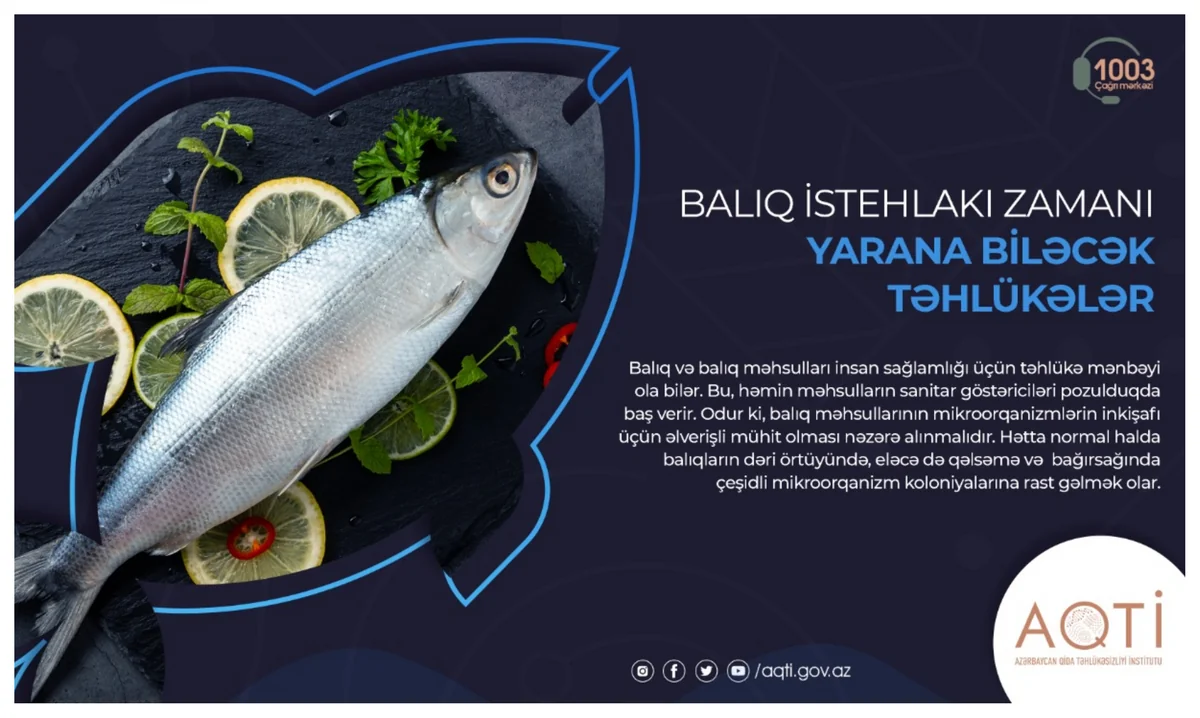 Balıq istehlakı zamanı yarana biləcək təhlükələr | Report.az