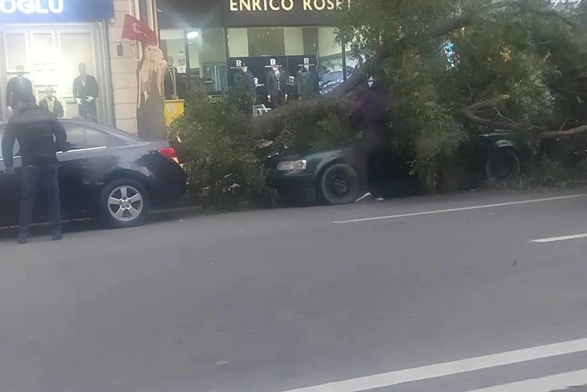 Güclü külək Bakıda bir sıra fəsadlar törədib