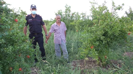Kürdəmir sakinindən 29 kq-a yaxın narkotik vasitə götürülüb