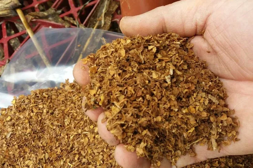 Azərbaycan tütün idxalına çəkdiyi xərci 12% azaldıb