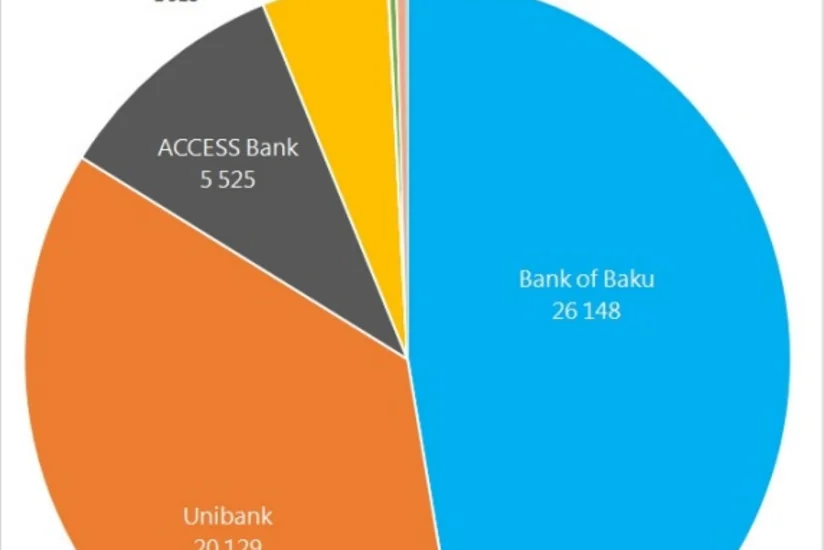 Azərbaycanda banklara təqdim olunan elektron arayışların sayı artıb